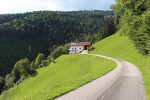 Příroda nedaleko apartmánu