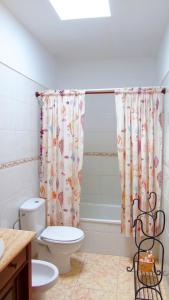 a bathroom with a toilet and a shower curtain at Chocolate Rustic Apartment, in Tegueste in Tegueste