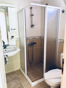 a bathroom with a shower with a toilet and a sink at Dove Apart Hotel in Fethiye