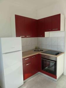 Η κουζίνα ή μικρή κουζίνα στο Apartment Slavica Novalja