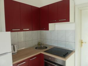 Η κουζίνα ή μικρή κουζίνα στο Apartment Slavica Novalja +15 φωτογραφίες