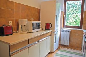 a kitchen with a counter with a microwave and a window at Spacious Apartment in quiet surrounding in Ičići +20 photos