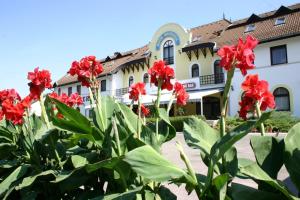 un grupo de flores rojas delante de un edificio en Hotel Orchidea, en Balástya