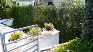 A garden outside The black dog house