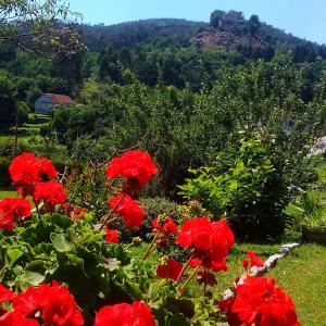 Paisaje cerca of this country house