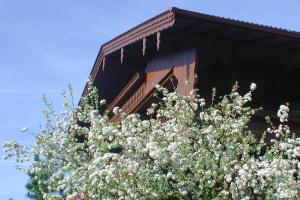 Fotografie z fotogalerie ubytování Appart & Hotel Garni Villa Knauer v Mayrhofenu