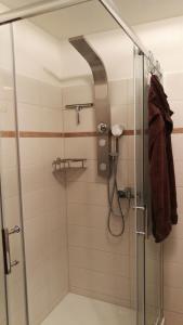 a shower in a bathroom with a glass shower stall at Feriendomizil-Sauerland FeWo 2 in Medebach