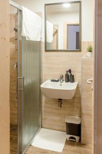 La salle de bains est pourvue d'un lavabo et d'une douche. dans l'établissement Hotel House Rozka, à Cerklje na Gorenjskem