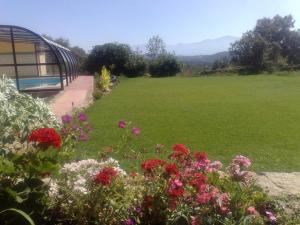 Ein Garten an der Unterkunft Apartamentos El Jardín del Poeta