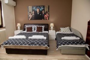 1 dormitorio con 2 camas y una foto en la pared en Apartments Cvetkovic Relax, en Niška Banja