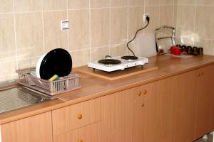 Kuchyň nebo kuchyňský kout v ubytování Omega Apartments