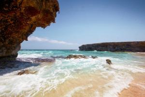 a view of the ocean from a rocky beach at Hostel Room Aruba in Oranjestad