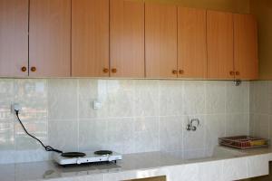 Kuchyň nebo kuchyňský kout v ubytování Omega Apartments