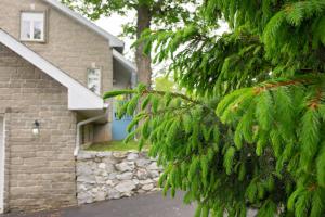 Foto dalla galleria di Rock Hill Bed & Breakfast a Sharbot Lake Altre 16 foto