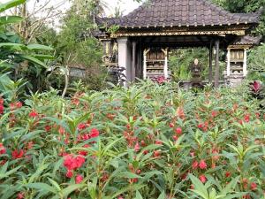 un jardin avec des fleurs rouges devant un kiosque dans l'établissement Pondok Indah Homestay, à Sidemen 9 autres photos