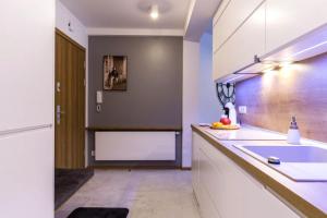 uma cozinha com um lavatório e uma bancada branca em Polana Szymoszkowa Ski Resort- Koliba em Zakopane