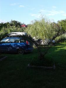 une voiture bleue garée dans une cour avec un arbre dans l'établissement Gonio Apsaros House, à Gonio