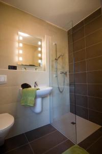 Vörden的住宿－達令豪斯旅館，带淋浴、盥洗盆和卫生间的浴室