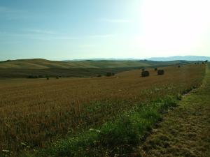 a field with hay bales in the middle at Santa Margherita in Castiglione dʼOrcia