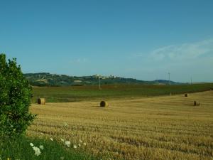 um campo com fardos de feno no meio em Santa Margherita em Castiglione dʼOrcia