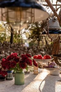 Zahrada ubytování Plage Cachée - Glamping