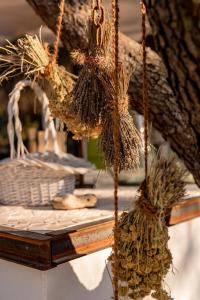 Fotografie z fotogalerie ubytování Plage Cachée - Glamping v destinaci Vrboska