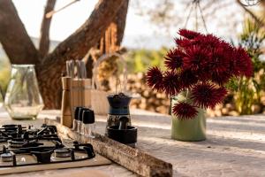Zahrada ubytování Plage Cachée - Glamping