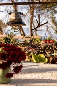 Zahrada ubytování Plage Cachée - Glamping