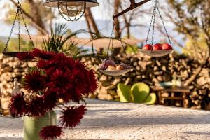 Zahrada ubytování Plage Cachée - Glamping