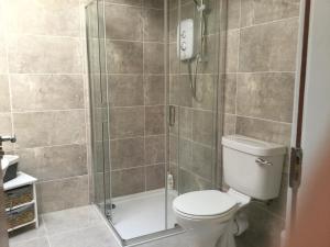 a bathroom with a toilet and a shower at Rose Alley Apartment in Westport