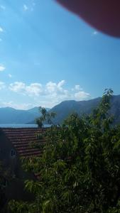 Gallery image of Apartments Katarina in Kotor