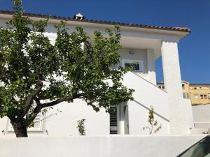 Biały dom z drzewem przed nim w obiekcie Cimabù w mieście Olbia