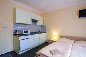 Kuchyň nebo kuchyňský kout v ubytování Apartmány Sport with Garage