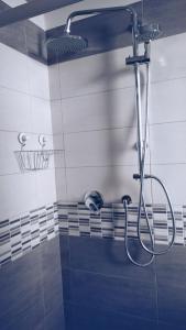 eine Dusche im Bad mit blauen und weißen Fliesen in der Unterkunft La Finestra su San Luca in Bologna