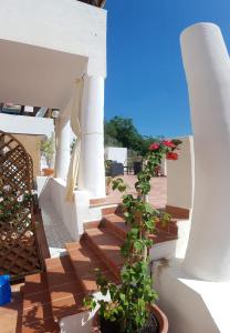 Gallery image of Casa Nonna Rosa in Santa Marina Salina +41 photos