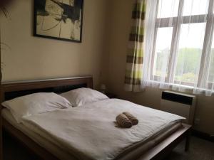 Postel nebo postele na pokoji v ubytování Hotel Jordánek