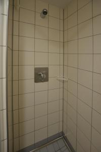 a bathroom with a shower with a toilet at Villa Ephraim in Görlitz