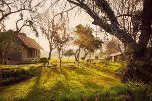 a grassy yard with a house and a tree at First Group Magalies Park in Hartbeespoort