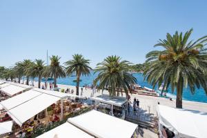 uma vista para uma praia com palmeiras e para o oceano em Yacht harbor apartment em Hvar