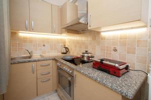 Kuchyňa alebo kuchynka v ubytovaní "Hermes" central apartment + 9 fotografií