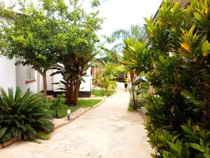 Zahrada ubytování Purview Lodge