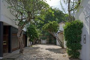 an empty alley with trees and a building at Geoffrey Bawa's Home Number 11 in Colombo
