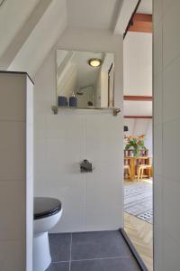 uma casa de banho com um WC e um espelho. em Rooftop studio near Amsterdam Castle (Muiden) em Muiden