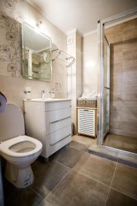 a bathroom with a toilet and a sink and a shower at APARTAMENT NOBLESS No1 ALBA IULIA in Alba Iulia +35 photos