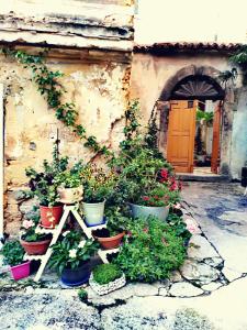 Nuotrauka iš apgyvendinimo įstaigos Flora Lovrane galerijos