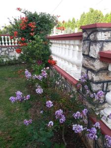 un jardín con flores púrpuras junto a una valla blanca en Alvanita Apartments, en Ulcinj