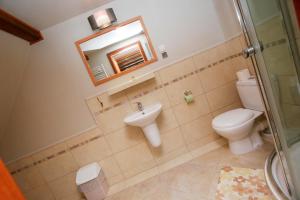 a bathroom with a toilet and a sink and a mirror at Pod Orlicą in Zieleniec