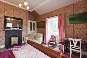 ein Schlafzimmer mit einem Kamin und einem Bett in einem Zimmer in der Unterkunft Ledville Castle in Dublin
