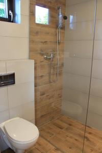 a bathroom with a toilet and a shower at Domki w porcie Zielony Gaj in Mikołajki +51 photos