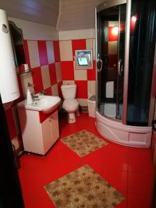 a bathroom with a toilet a sink and a shower at Pensiunea Remus in Novaci +26 photos
